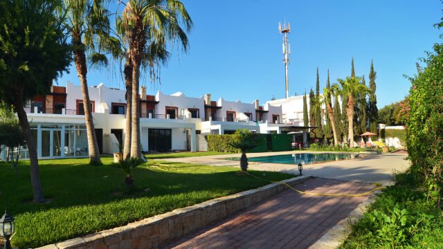 DSC_9651 (1)